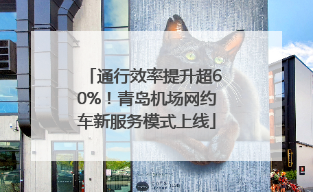 通行效率提升超60%！青岛机场网约车新服务模式上线