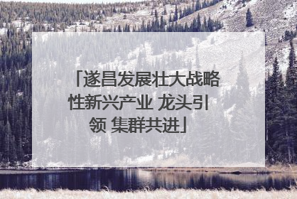 遂昌发展壮大战略性新兴产业 龙头引领 集群共进