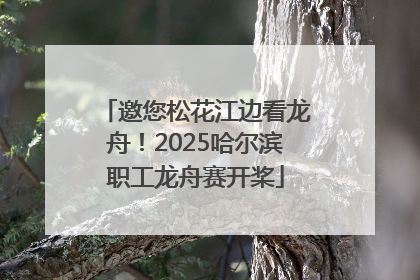邀您松花江边看龙舟！2025哈尔滨职工龙舟赛开桨