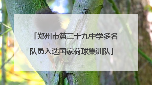 郑州市第二十九中学多名队员入选国家荷球集训队
