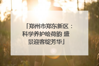 郑州市郑东新区：科学养护绘荷韵 盛景迎客绽芳华