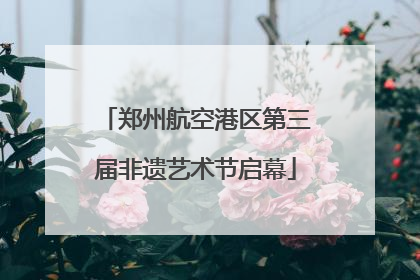 郑州航空港区第三届非遗艺术节启幕