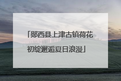 郧西县上津古镇荷花初绽邂逅夏日浪漫