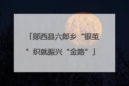 郧西县六郎乡“银茧”织就振兴“金路”