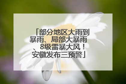 部分地区大雨到暴雨、局部大暴雨、8级雷暴大风！安徽发布三预警