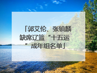 郭艾伦、张镇麟缺席辽篮“十五运”成年组名单
