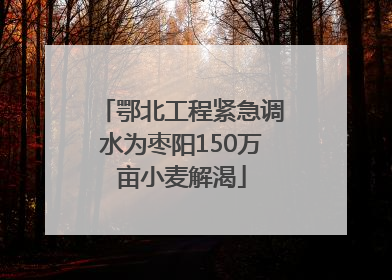 鄂北工程紧急调水为枣阳150万亩小麦解渴