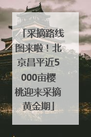 采摘路线图来啦！北京昌平近5000亩樱桃迎来采摘黄金期