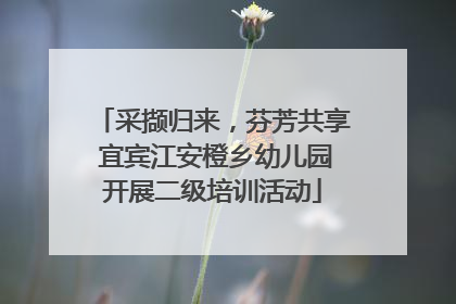 采撷归来，芬芳共享 宜宾江安橙乡幼儿园开展二级培训活动