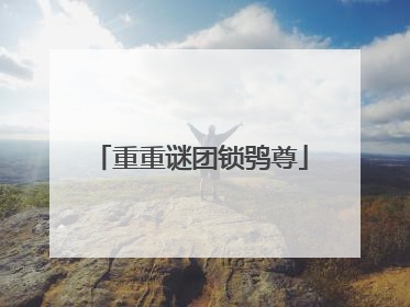 重重谜团锁鸮尊