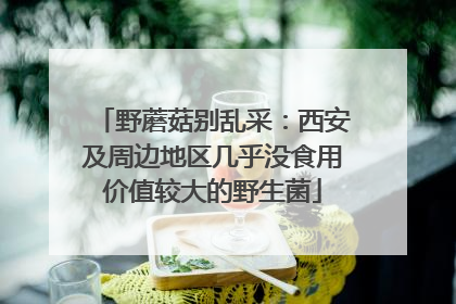 野蘑菇别乱采：西安及周边地区几乎没食用价值较大的野生菌
