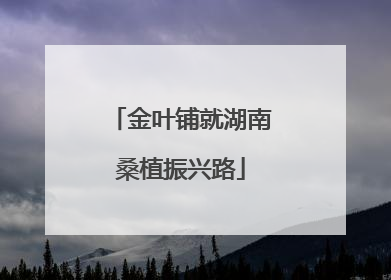 金叶铺就湖南桑植振兴路