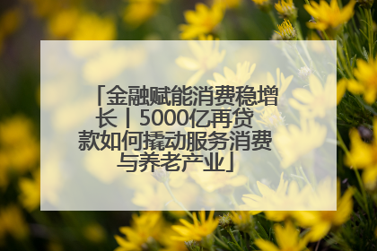 金融赋能消费稳增长丨5000亿再贷款如何撬动服务消费与养老产业