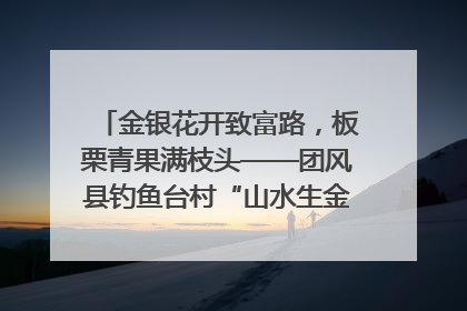金银花开致富路，板栗青果满枝头——团风县钓鱼台村“山水生金”谱写共富新篇章
