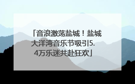 音浪激荡盐城！盐城大洋湾音乐节吸引5.4万乐迷共赴狂欢