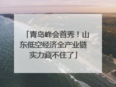 青岛峰会首秀！山东低空经济全产业链实力藏不住了