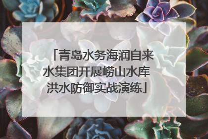 青岛水务海润自来水集团开展崂山水库洪水防御实战演练