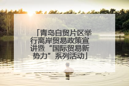 青岛自贸片区举行离岸贸易政策宣讲暨“国际贸易新势力”系列活动