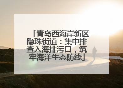 青岛西海岸新区隐珠街道：集中排查入海排污口，筑牢海洋生态防线
