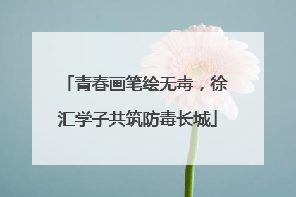 青春画笔绘无毒，徐汇学子共筑防毒长城