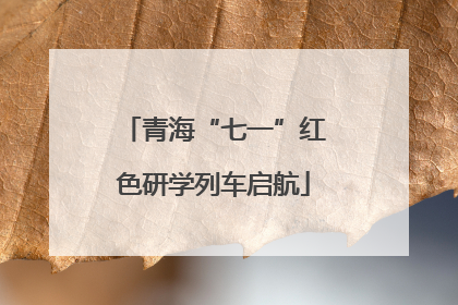 青海“七一”红色研学列车启航