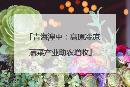 青海湟中：高原冷凉蔬菜产业助农增收