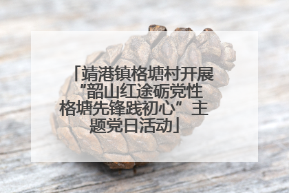 靖港镇格塘村开展“韶山红途砺党性 格塘先锋践初心”主题党日活动