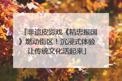 非遗皮影戏《精忠报国》燃动街区！沉浸式体验让传统文化活起来