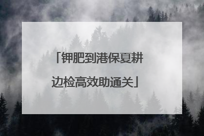 钾肥到港保夏耕 边检高效助通关