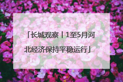 长城观察丨1至5月河北经济保持平稳运行