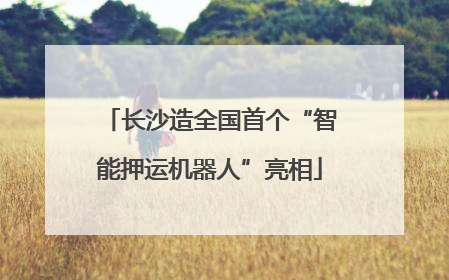 长沙造全国首个“智能押运机器人”亮相