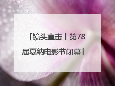 镜头直击丨第78届戛纳电影节闭幕