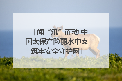 闻“汛”而动 中国太保产险丽水中支筑牢安全守护网