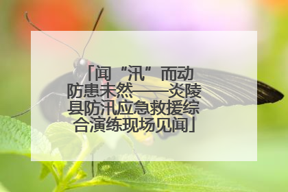 闻“汛”而动 防患未然——炎陵县防汛应急救援综合演练现场见闻