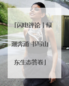 闪电评论丨绿潮奔涌 书写山东生态答卷