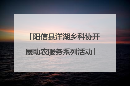 阳信县洋湖乡科协开展助农服务系列活动