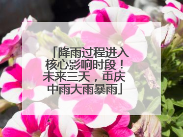 降雨过程进入核心影响时段！未来三天，重庆中雨大雨暴雨