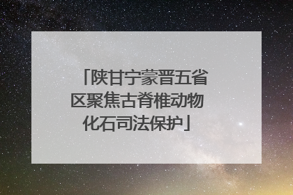 陕甘宁蒙晋五省区聚焦古脊椎动物化石司法保护