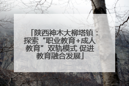 陕西神木大柳塔镇：探索“职业教育+成人教育”双轨模式 促进教育融合发展
