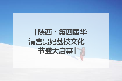 陕西：第四届华清宫贵妃荔枝文化节盛大启幕
