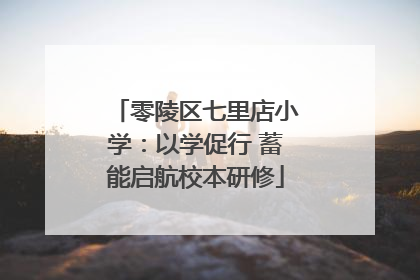 零陵区七里店小学：以学促行 蓄能启航校本研修