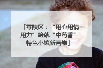 零陵区：“用心用情用力”绘就“中药香”特色小镇新画卷