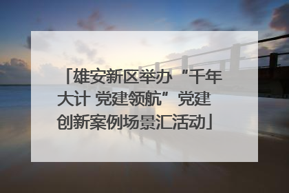 雄安新区举办“千年大计 党建领航”党建创新案例场景汇活动