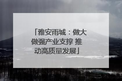 雅安雨城：做大做强产业支撑 推动高质量发展