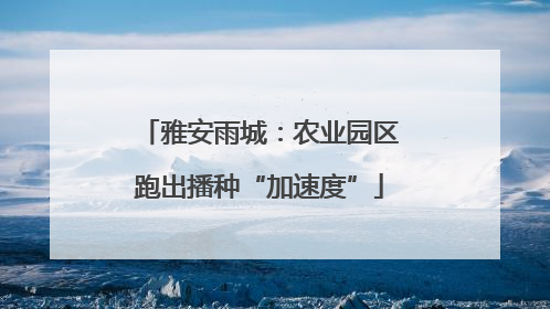 雅安雨城：农业园区跑出播种“加速度”