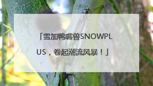 雪加鸭嘴兽SNOWPLUS，卷起潮流风暴！