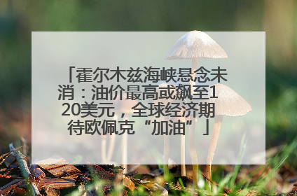 霍尔木兹海峡悬念未消：油价最高或飙至120美元，全球经济期待欧佩克“加油”