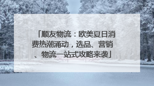 顺友物流：欧美夏日消费热潮涌动，选品、营销、物流一站式攻略来袭