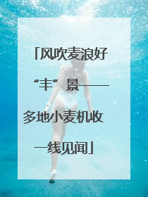 风吹麦浪好“丰”景——多地小麦机收一线见闻