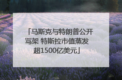 马斯克与特朗普公开骂架 特斯拉市值蒸发超1500亿美元